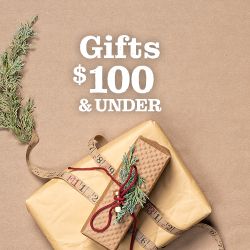 Gifts under $100